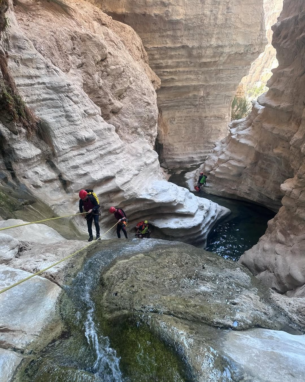 تنگه بوچیر، تجربهای فراموشنشدنی در دل طبیعت جنوب