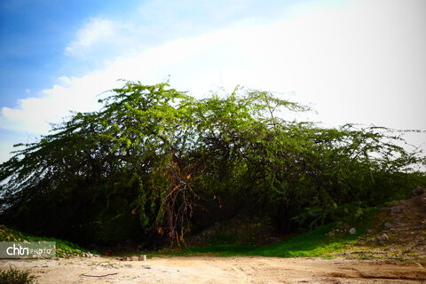 روستای هدف گردشگری جزیره شمالی