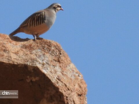 تنوع زیستس خراسان شمالی