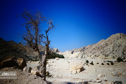 روستای هدف گردشگری کوچهر