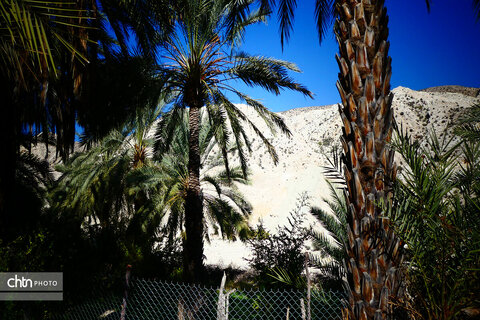 روستای هدف گردشگری کوچهر