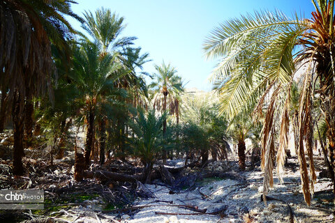 روستای هدف گردشگری کوچهر