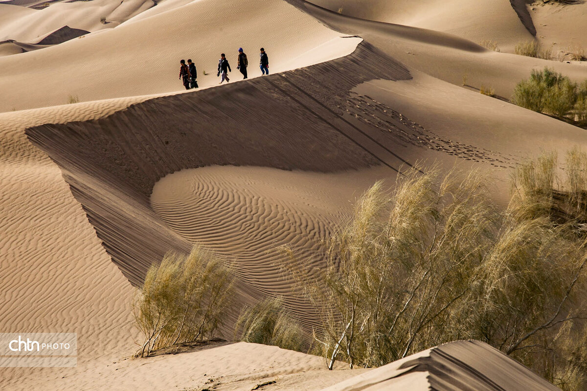 ریگ یلان گنجینهای طبیعی در دل کویر