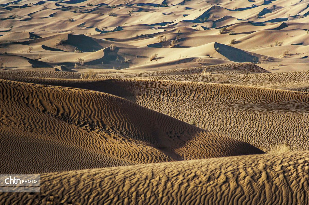 ریگ یلان گنجینهای طبیعی در دل کویر