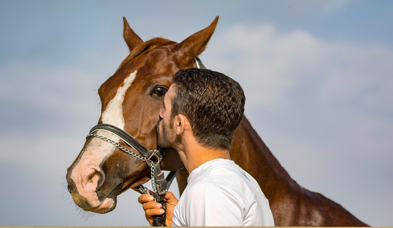 خراسان شمالی دیار اقوام، فرهنگ و جاذبههای بکر