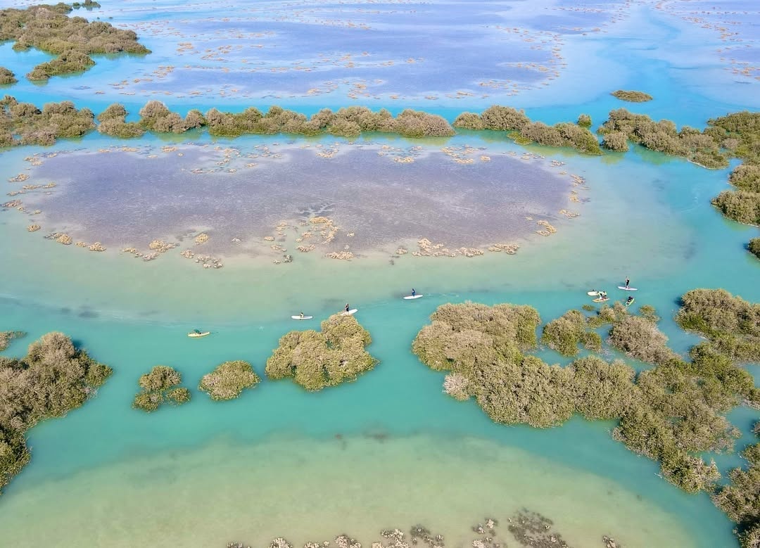 لمس زیباییهای سواحل و تالابهای هرمزگان از زاویهای متفاوت