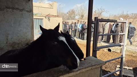 افتتاح یک واحد بوم گردی در شهرستان مهریز