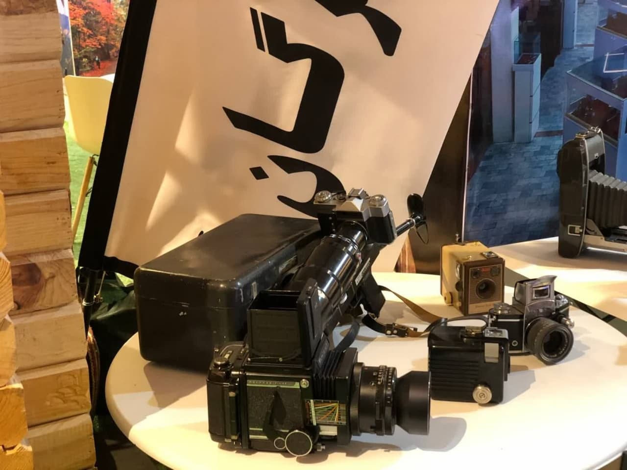 پیوند گردشگری و هنر/ نمایشگاه بینالمللی گردشگری، فرصتی برای معرفی مجموعههای تخصصی