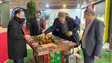 توسعه گردشگری کشاورزی در استان زنجان