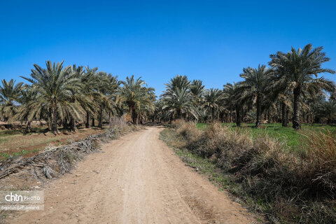 افتتاح سنگ‌فرش روستای علوه