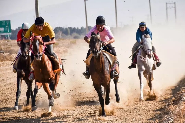 درخشش اسب‌های خراسان‌شمالی در کورس پاییزه گنبد