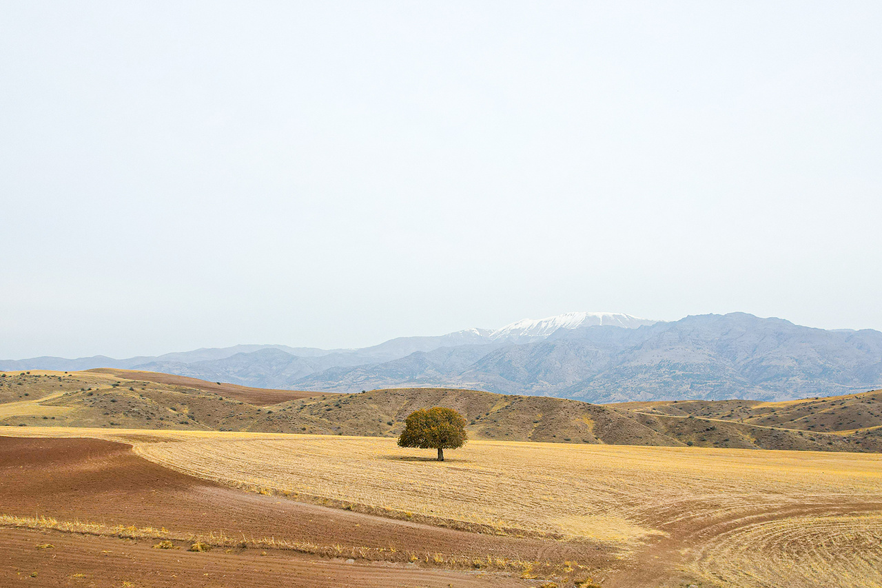 مستند «آرتاویل»؛ روستای نمهیل