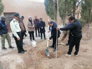 روز درخت‌کاری در باغ جهانی شاهزاده ماهان برگزار شد