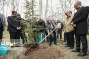 مراسم روز درختکاری در مجموعه فرهنگی تاریخی سعدآباد