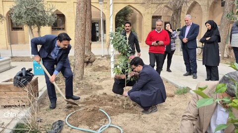 کاشت نهال نارنج در ارگ حکومتی یزد به مناسبت روز درخت و درختکاری