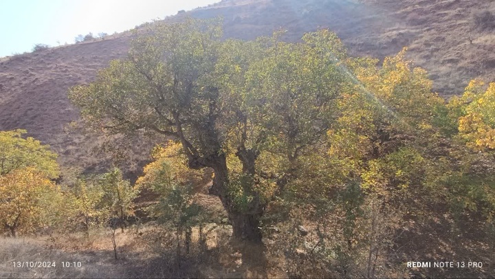 ۲ اثر میراث طبیعی زنجان در فهرست آثار ملی کشور به ثبت رسید 