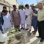 کاشت نهال در محوطه موزه محلی سرباز به مناسبت روز درختکاری