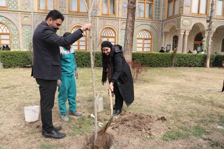 شناسایی درختان در حال حیات کاخ گلستان از دوره قاجار