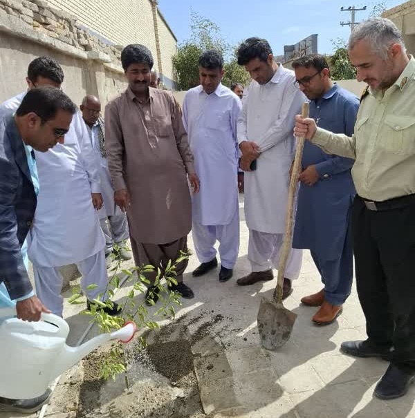 کاشت نهال در محوطه موزه محلی سرباز به مناسبت روز درختکاری