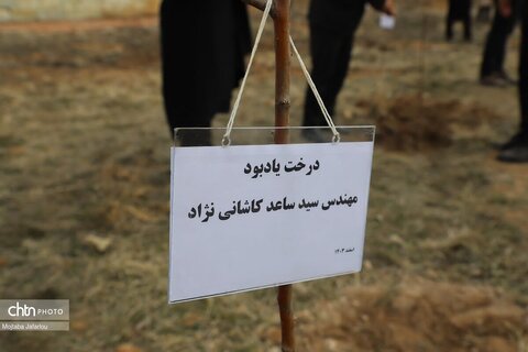 آیین درختکاری در محوطه تاریخی پایگاه میراث جهانی گنبد سلطانیه