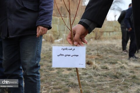 آیین درختکاری در محوطه تاریخی پایگاه میراث جهانی گنبد سلطانیه