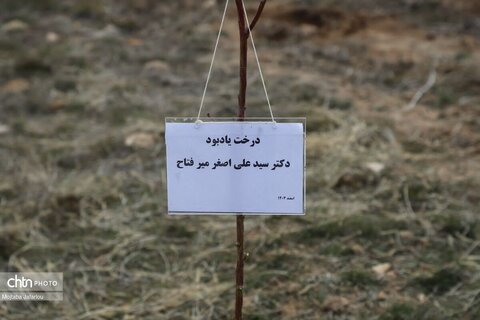آیین درختکاری در محوطه تاریخی پایگاه میراث جهانی گنبد سلطانیه