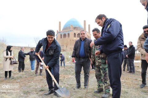 آیین درختکاری در محوطه تاریخی پایگاه میراث جهانی گنبد سلطانیه