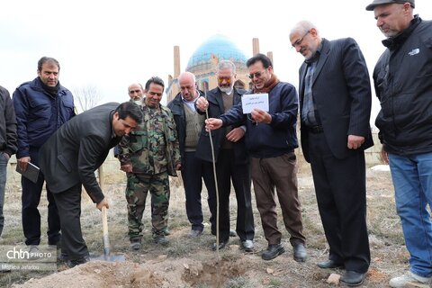 آیین درختکاری در محوطه تاریخی پایگاه میراث جهانی گنبد سلطانیه
