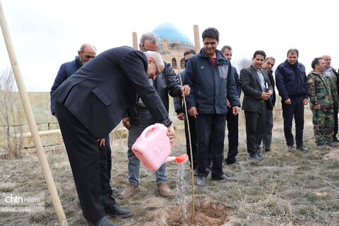 آیین درختکاری در محوطه تاریخی پایگاه میراث جهانی گنبد سلطانیه