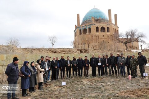 آیین درختکاری در محوطه تاریخی پایگاه میراث جهانی گنبد سلطانیه