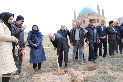 آیین درختکاری در محوطه تاریخی پایگاه میراث جهانی گنبد سلطانیه