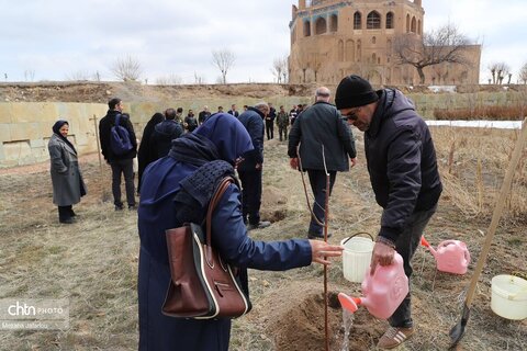 آیین درختکاری در محوطه تاریخی پایگاه میراث جهانی گنبد سلطانیه