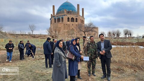آیین درختکاری در محوطه تاریخی پایگاه میراث جهانی گنبد سلطانیه