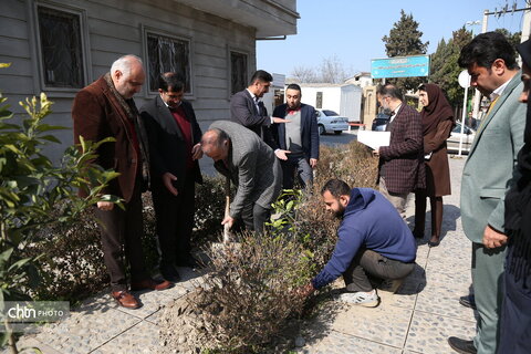 آیین درختکاری در شهر تاریخی استرآباد (گرگان)