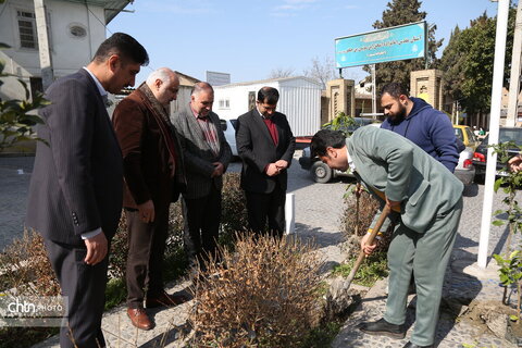 آیین درختکاری در شهر تاریخی استرآباد (گرگان)