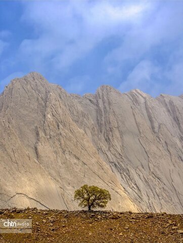 لرستان در فصل بهار مقصدی ایده آل برای طبیعت گردی