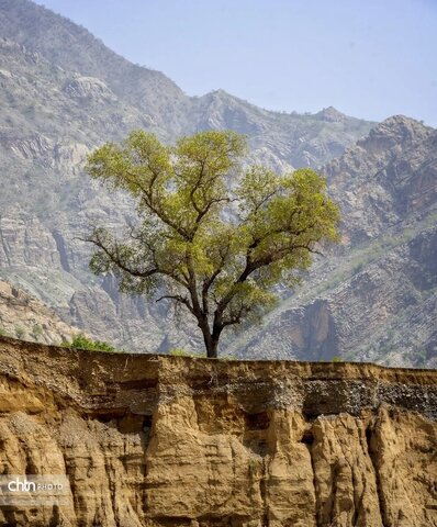 لرستان در فصل بهار مقصدی ایده آل برای طبیعت گردی