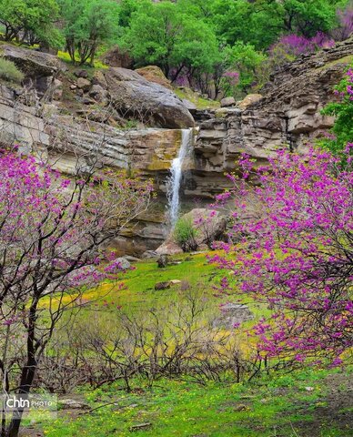 لرستان در فصل بهار مقصدی ایده آل برای طبیعت گردی