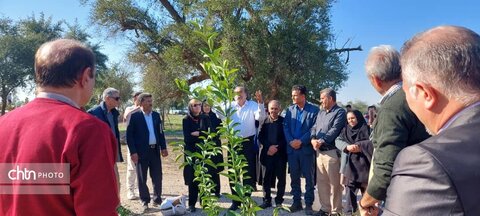 پایگاه میراث فرهنگی جندی شاپور به استقبال نوروز رفت