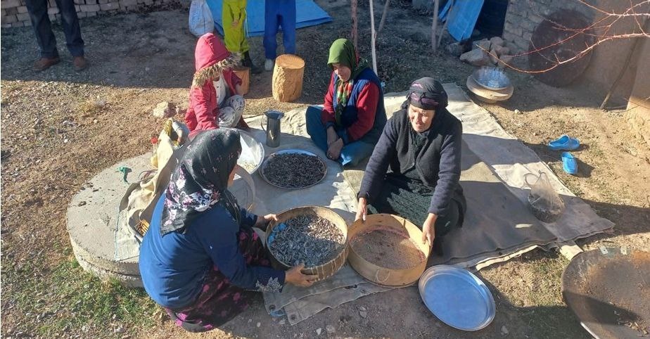 ثبت ۴ عنصر فرهنگی کرمانشاه در فهرست میراث ناملموس کشور