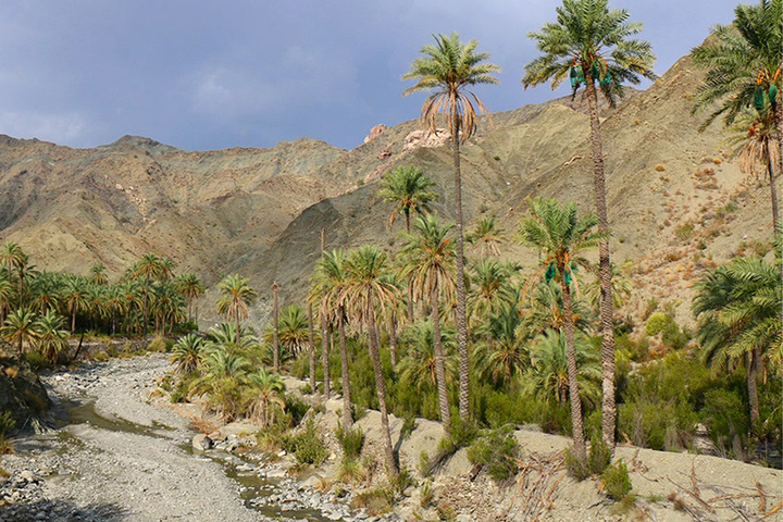 شه بابک قطب گردشگری بشاگرد