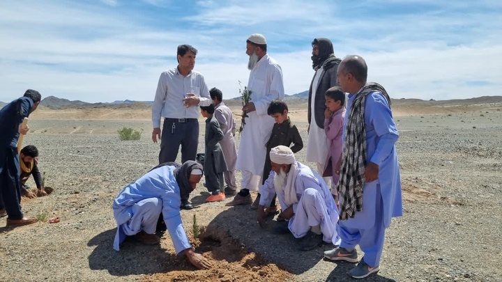 آیین درخت‌کاری در پایگاه میراث جهانی بیابان لوت برگزار شد