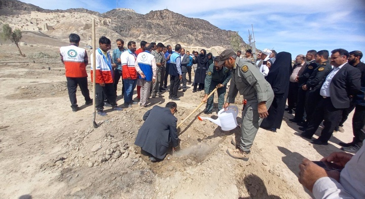 کاشت ۱۱۰ اصله درخت گز در پایگاه ملی کوه خواجه کاشت ۱۱۰ اصله درخت گز در پایگاه ملی کوه خواجه