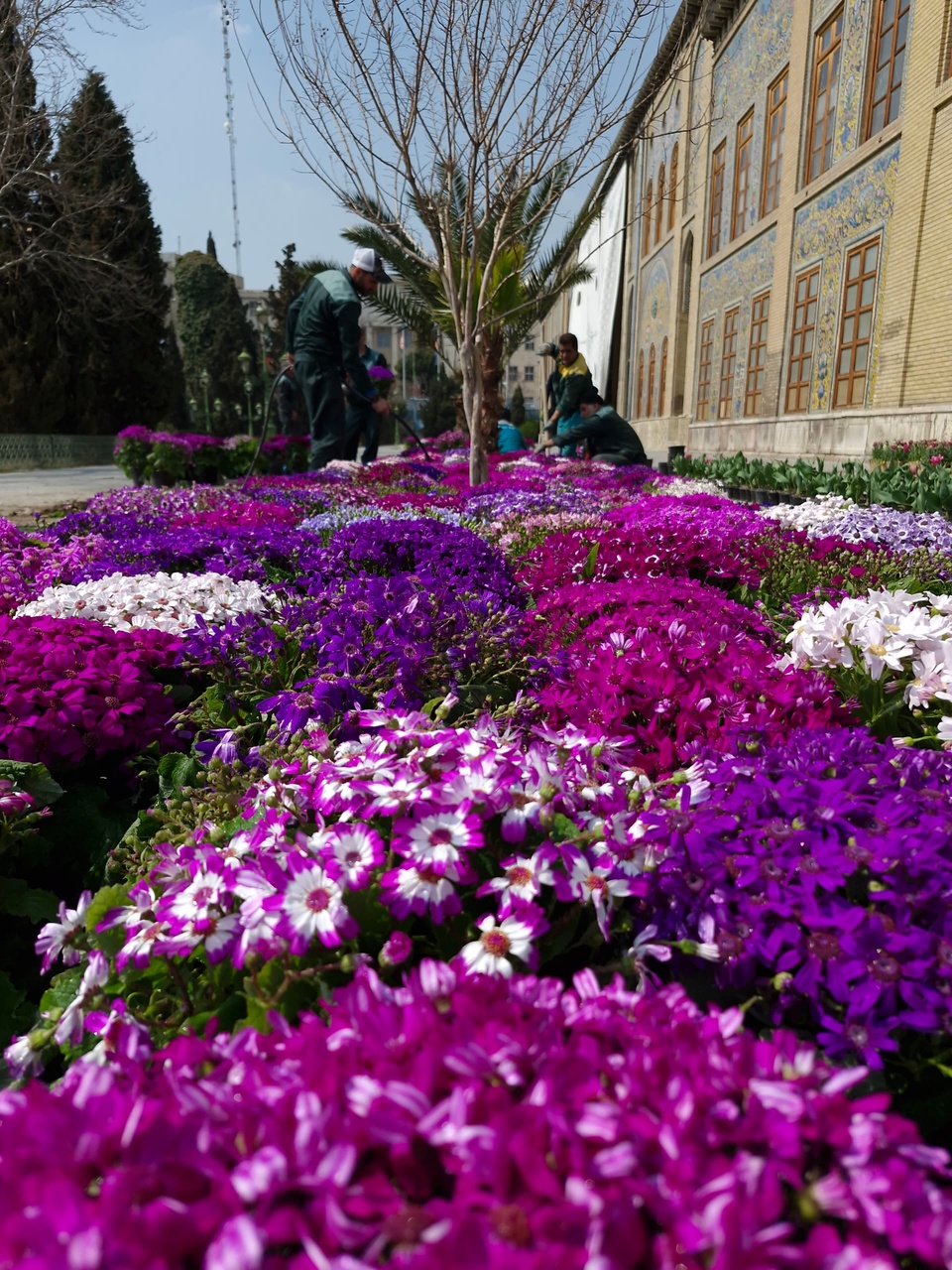 تحول نوروزی در موزهها/ زیباسازی و گلآرایی گسترده در سراسر کشور