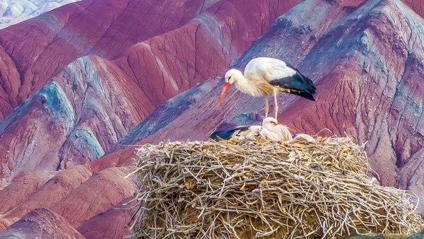 خارقالعاده ترین جاذبههای طبیعی و منحصر به فرد دنیا در شهرستان ماهنشان