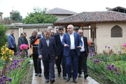 وحید پیاده کوهسار