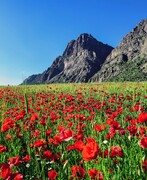 ۴۷ آبشار و غار که می‌توانید از آن‌ها طلا استخراج کنید