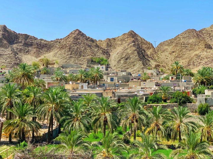 صدور مجوزهای کشاورزی و گردشگری در شهرستان سرباز تسهیل میشود صدور مجوزهای کشاورزی و گردشگری در شهرستان سرباز تسهیل میشود