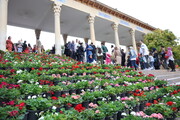 اقدام عاجل میراث فرهنگی فارس برای بهسازی حافظیه پس از مراسم تحویل سال