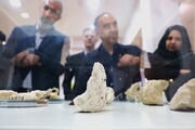 توسعه وجه فرهنگی‌گردشگری با برگزاری نمایشگاه‌های یافته‌های باستان‌شناسی در ایام نوروز/ تقویت گردشگری فرهنگی در پیک سفرها